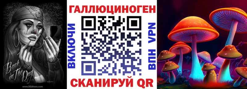 купить  цена  Новый Уренгой  Галлюциногенные грибы Psilocybe 